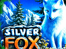 автомат Silver Fox в казино Вулкан